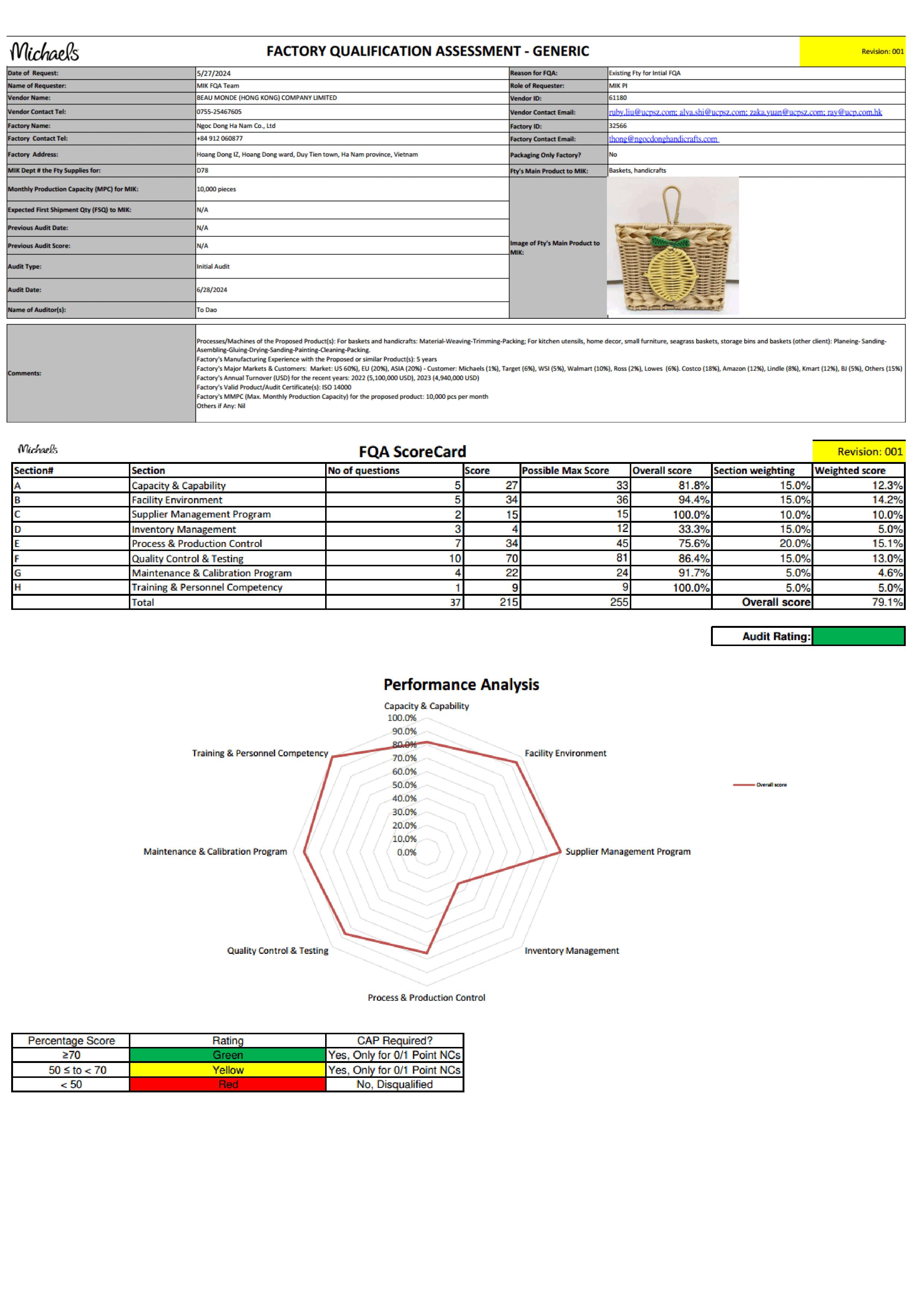 Micheals audit report